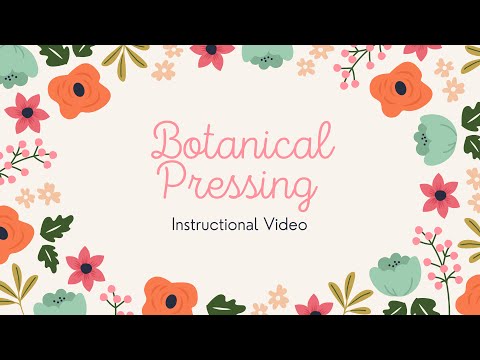 Product tutorial
