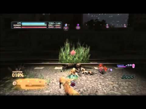 Tokyo Jungle S7 P2 HD - Wisdom comes with age