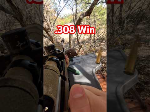 The 308 Winchester Is Still An Excellent Cartridge For Hunting