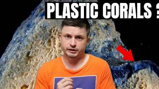 Plastic Is Fusing With Corals and Creating Bizarre New Minerals