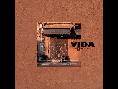 NESSYOU -  VIDA ( Officiel Audio )