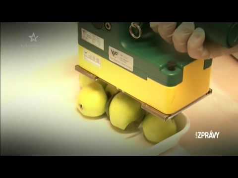 ČERNOBYL 9   OVOCE Z PRIPJAŤ