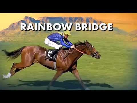 2018 Green Point Stakes Promo DRAFT 1