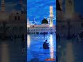 Hum Kaha Sarkar Jaye Aapke Hote Hue Islamic Status 2022 FardeenKhan Islamic