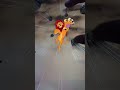 zoom art Mufasa Death scene !! SUBSCRIBE FOR MORE #lionking #Disney