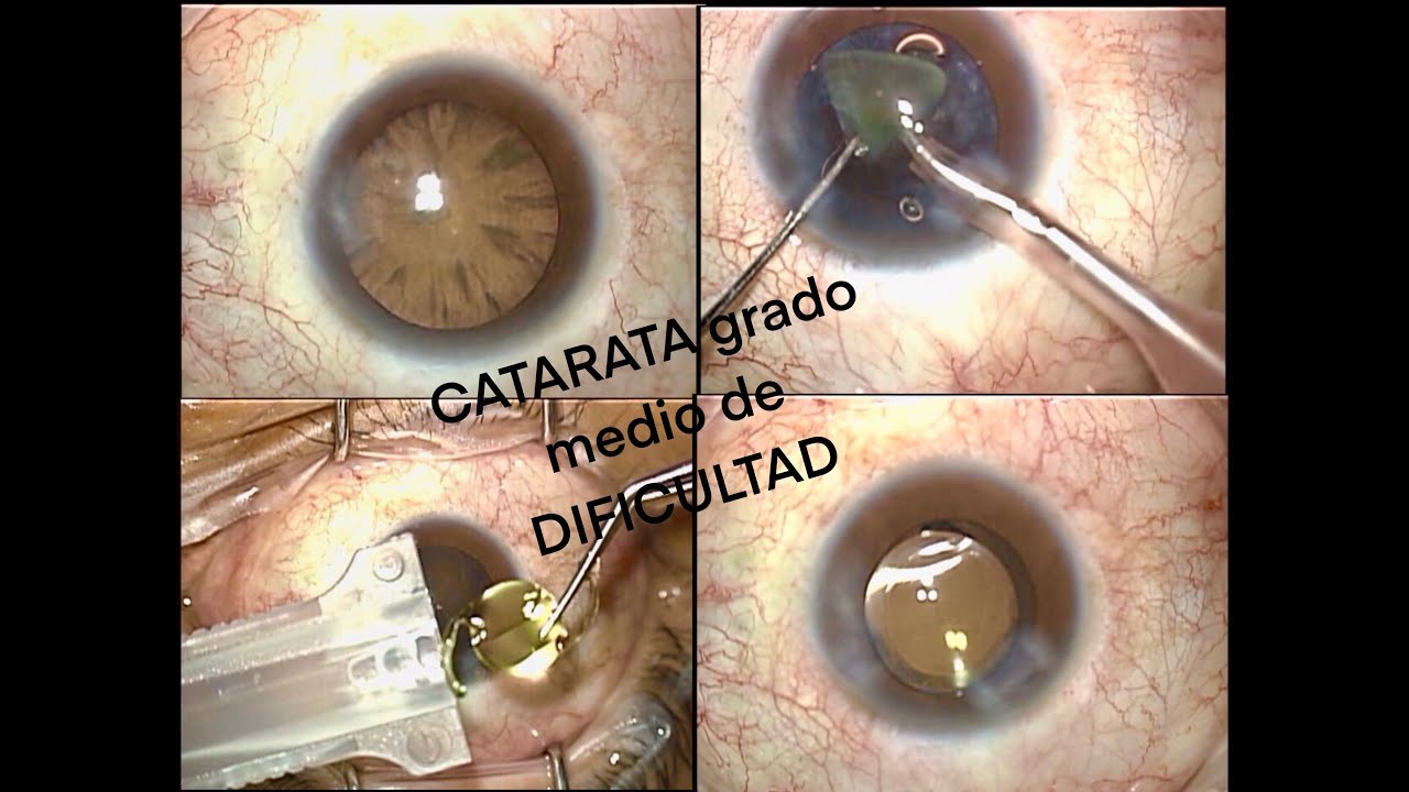 Luis Antonio García Padilla-5