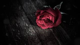 Kamelot   End Of Innocence Acoustic Vocal Cover