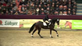 Video av Cormitender