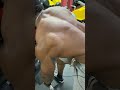 it's back day