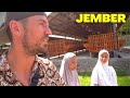 Tour Of GOAT Farm In Rural Indonesia