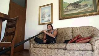 Didgeridoo Windproject Contest + eldjin massimo bekis
