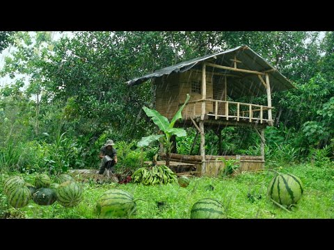 CAMPING PANEN BUAH SEMANGKA, RAMBUTAN CEMPEDAK,PETE,DURIAN DAN PANEN IKAN LELE 