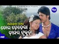 Tora Chehera Chandara Tukura Romantic Film Song Sourin Bhatt Pamela Jain Priya Arindam Sidharth