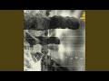 Digitaria - Bill Laswell - Topic Digitaria