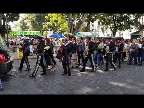 Oaxaca (Mexico) funeral procession.