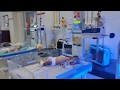 NICU SNCU Tour Neonatal Intensive Care Unit Special Newborn Care Unit