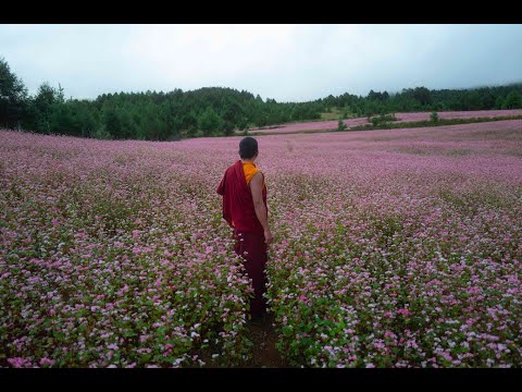 Le Moine et le Fusil - bande annonce Pyramide Distribution