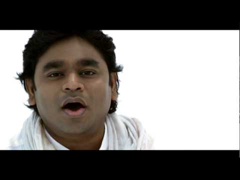 Vellai Pookal (white flowers) |HD