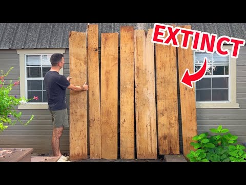 The Most Expensive AND  Ugliest Wood I've Ever Bought