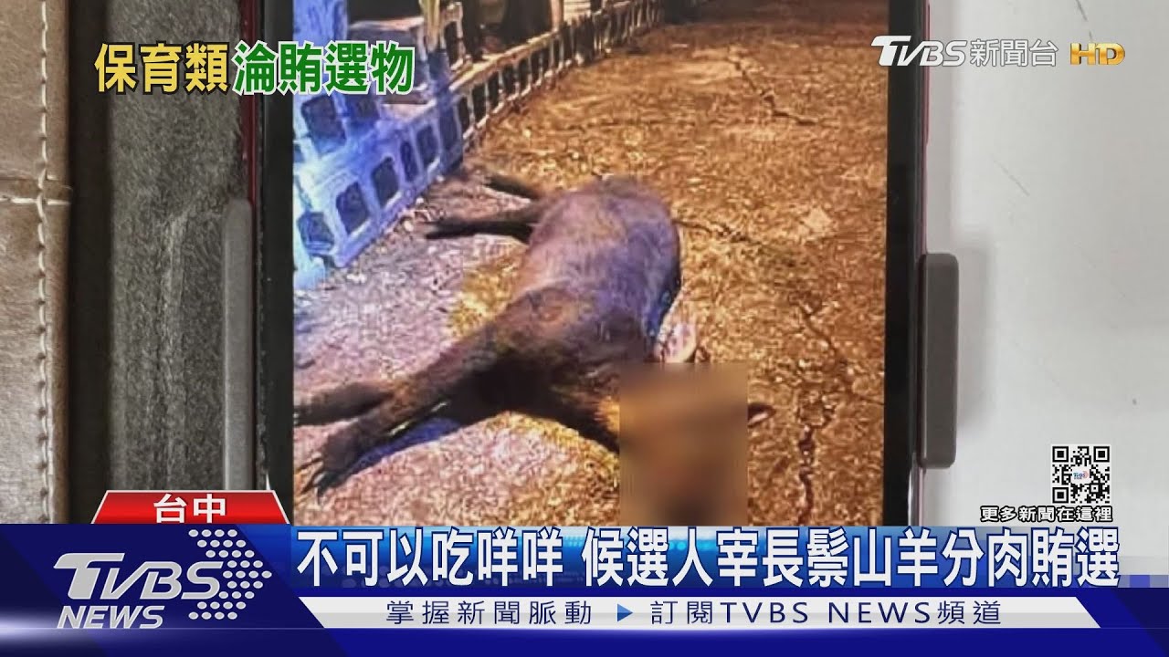 不可以吃咩咩 候選人宰長鬃山羊分肉賄選