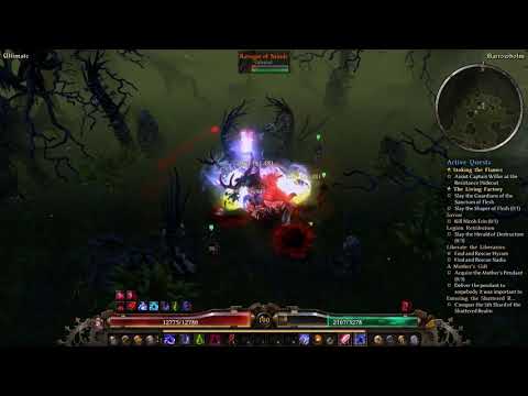 DW Chaos update [1.1.2.2] - Rah'Zin Witch Hunter -  Ravager 2m59