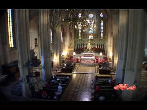 The organs of Zagreb Cathedral