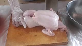 Download lagu Tutorial Dan Cara Memotong Ayam || Dari 4 Hingga 20 Bahagian mp3