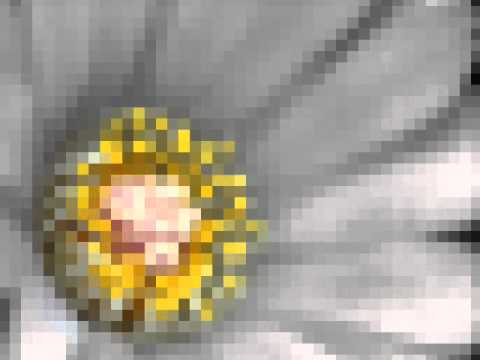 VOMITORZ - PEYOTE - track: 8