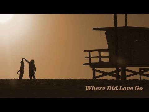 Matt Palka | Where Did Love Go | Official Music Video