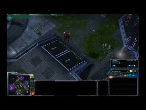 01-Doogar(Z)&ManFromHell(Z) vs SillyGoose(T)&MyHugeGoose(Z) - Starcraft 2 Beta Gameplay HD.wmv