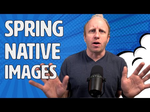 Getting started with Spring Boot AOT + GraalVM Native Images