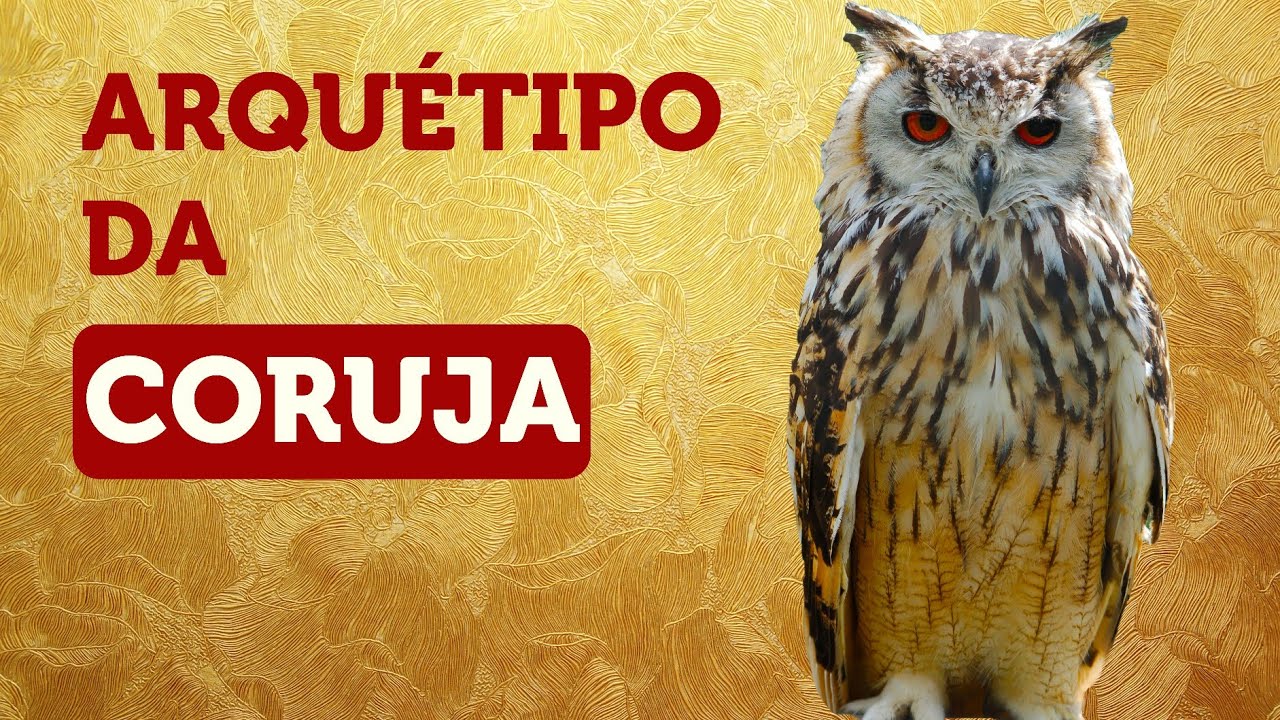 Poderoso Arquétipo de SABEDORIA, INTELIGÊNCIA e VISÃO AMPLA: Arquétipo da CORUJA