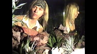 Cover art for Lounge Thoughts