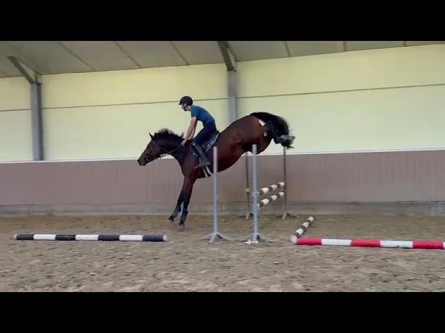 Jumping under the saddle