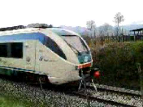 Minuetto al passaggio a livello di panicaaglia