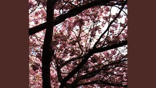 Hypnagogue II - A Dream Prologue