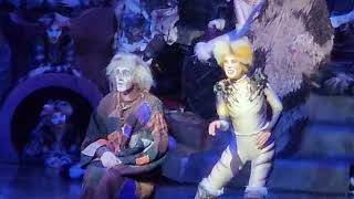Cats the Brodway Play on Oasis of the Seas was quite interesting. Must see. #cruise #cruiseship