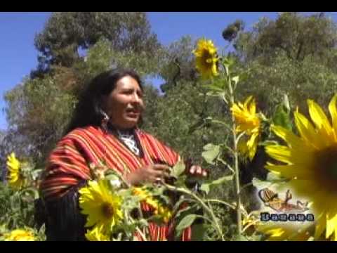 ***ANTONIETA ANTEZANA*** LA REYNA DEL CHARANGO**( EL RASISMO) PRIMICIA 2010