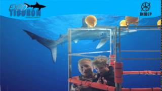 DIA 3 Expo Tiburon172