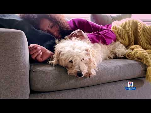 Hill’s Prescription Diet: Science Did That