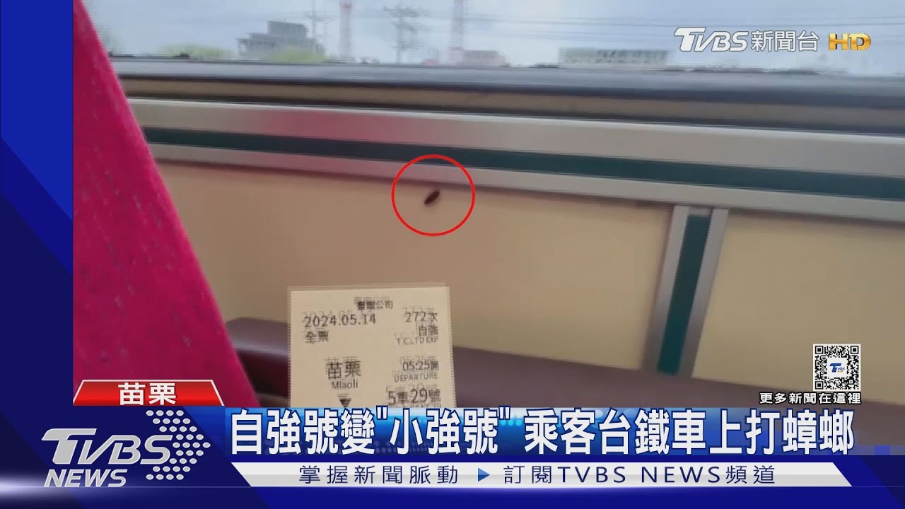 自強號變「小強號」 乘客台鐵車上打蟑螂