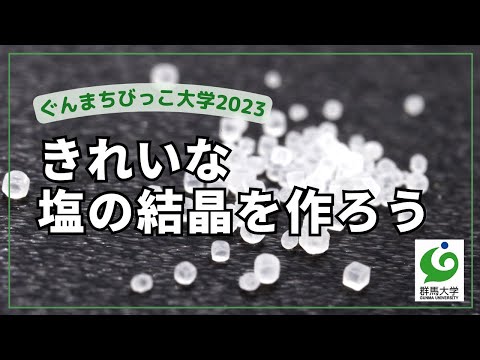 19 きれいな塩の結晶を作ろう