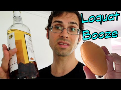YouTube video about: What are loquat seeds?