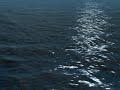 Real time 3D ocean waves rendering