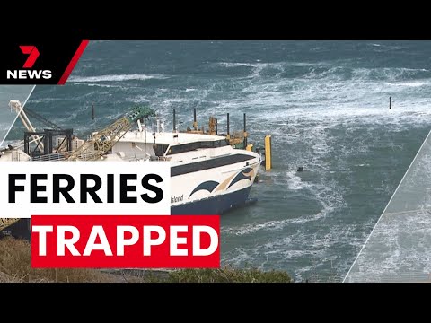 Calls for upgrade of crucial Cape Jervis breakwater as Kangaroo Island ferries stranded | 7NEWS