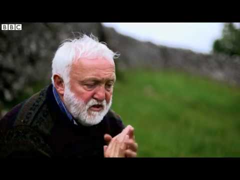 The enduring wonder of dry stone walls