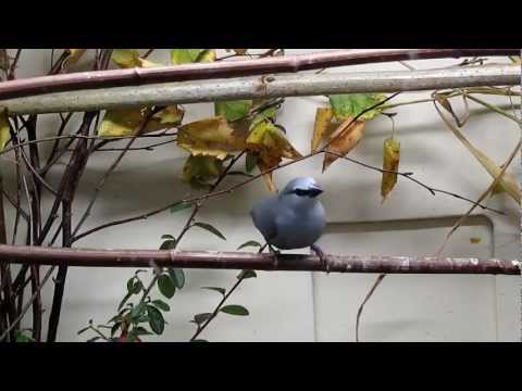 EXOTICA 2012, Die VZE-Bundesausstellung in Leipzig