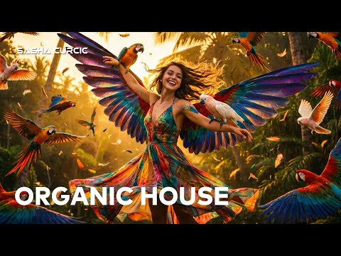 Sasha Curcic - ORGANIC House Vol. 104