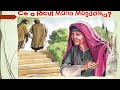 Maria Magdalena Femeile Din Biblie Cu Voce
