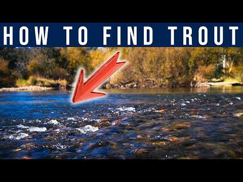 3 Keys to Finding Trout in Any River (Fly Fishing Guide)